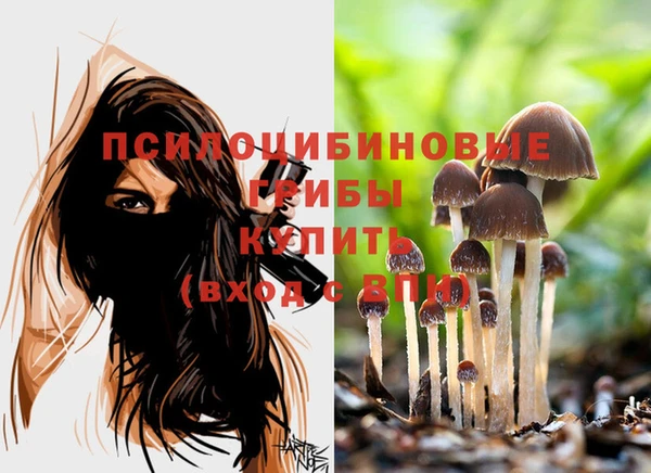 мдма Каменногорск