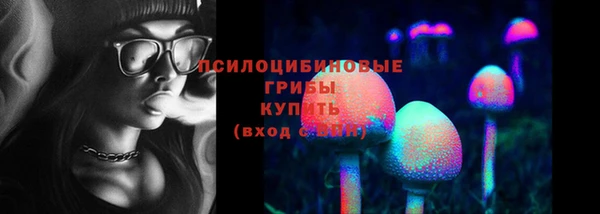 мдма Каменногорск